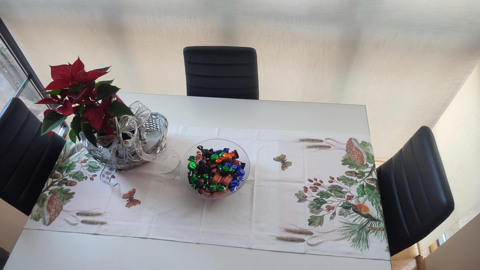 לאון Estudio Paloma מראה חיצוני תמונה